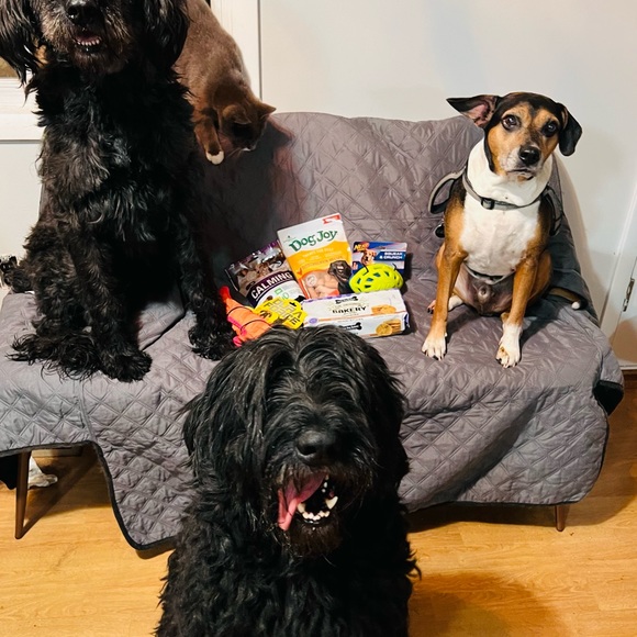 ☺️💞Meet Selena19 📦📬 - Picture 11 of 16